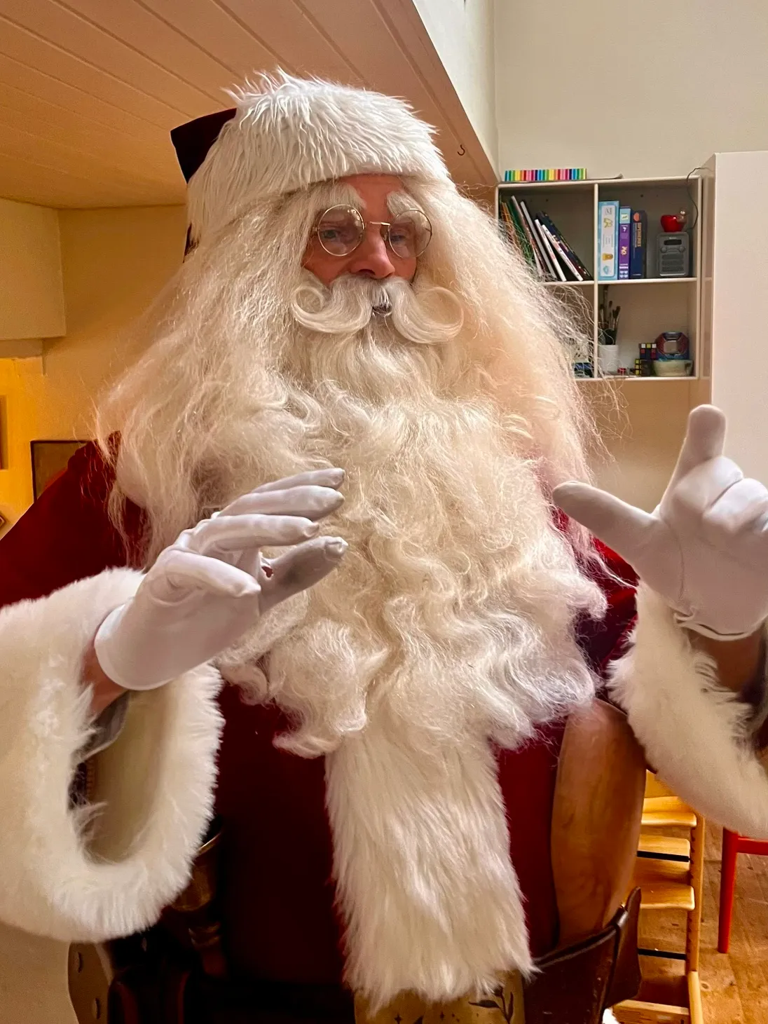 Det store juleshow