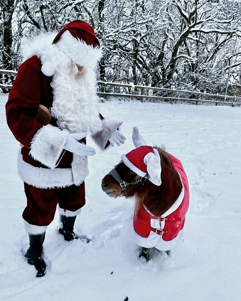 Julemanden i kanen