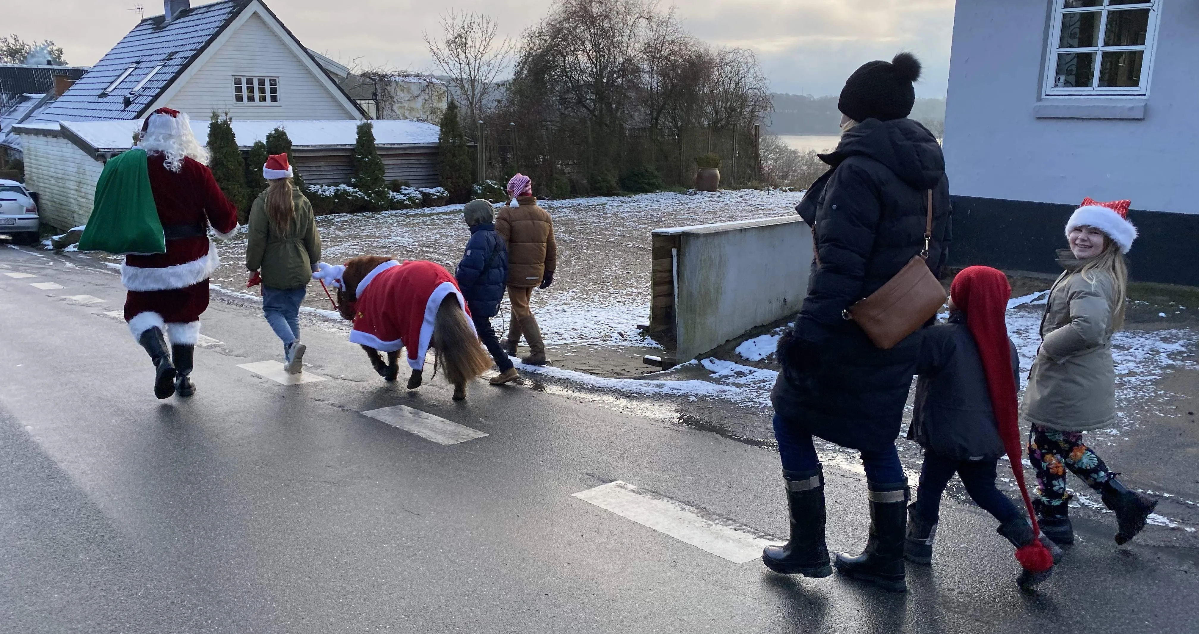 Julemandens lille hest